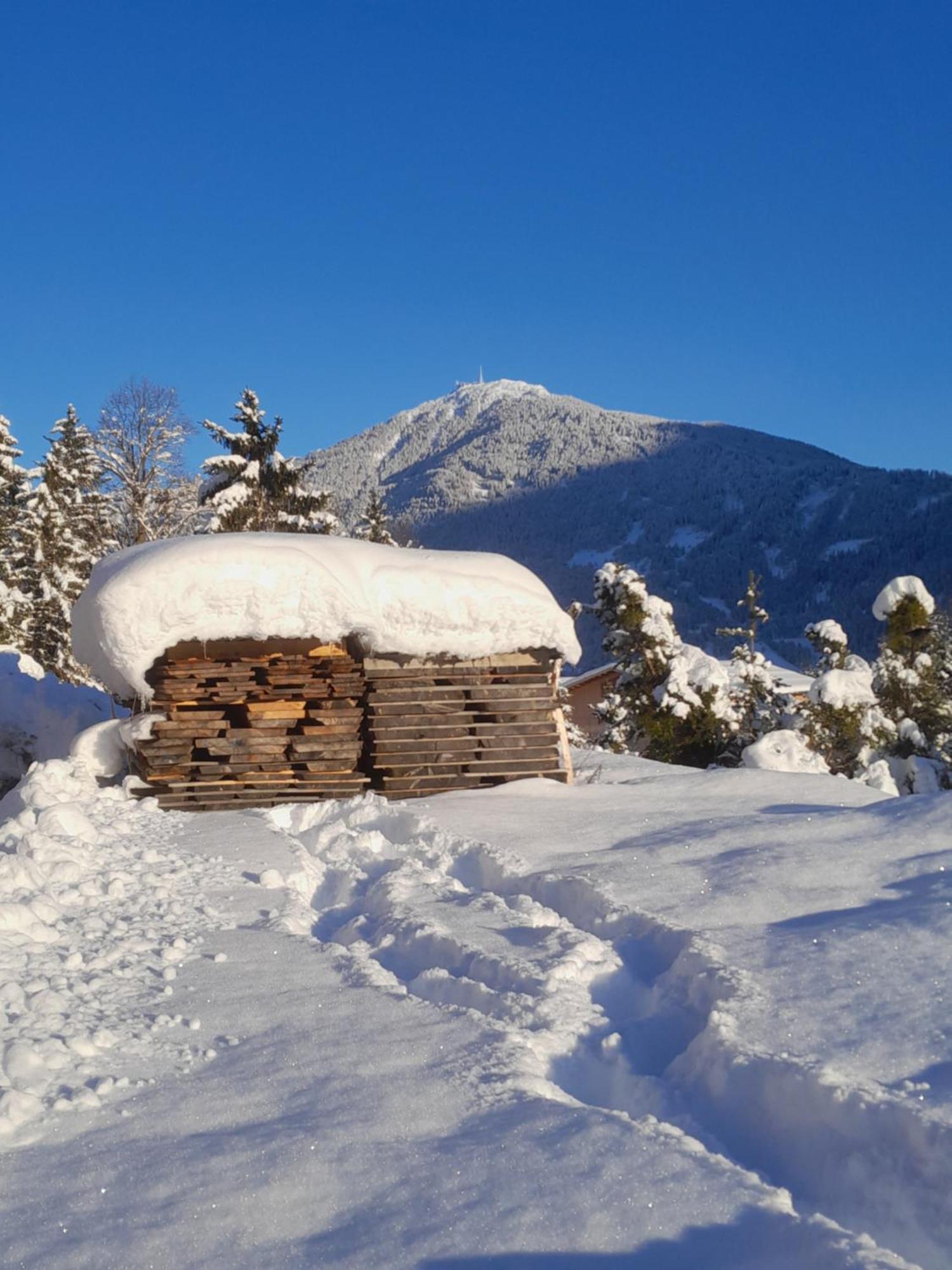 Haus Hotz Διαμέρισμα Landeck Εξωτερικό φωτογραφία